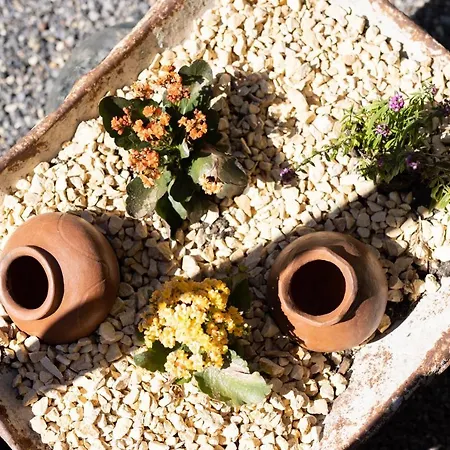 Latas Del Almendro 3 펜션 산티아고 델 테데