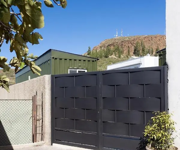 Latas Del Almendro 3