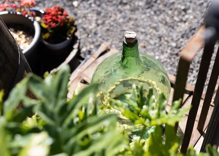 Latas Del Almendro 3 Nyaraló *